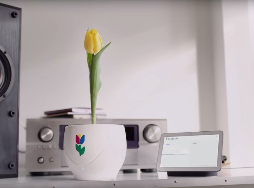 April Fool's Google - Google Tulip