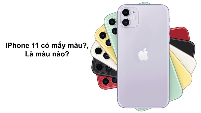 iPhone 11 có mấy màu? Gồm những màu nào?