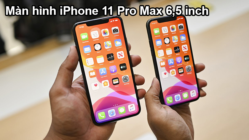 Màn hình iPhone 11 Pro Max bao nhiêu inch?