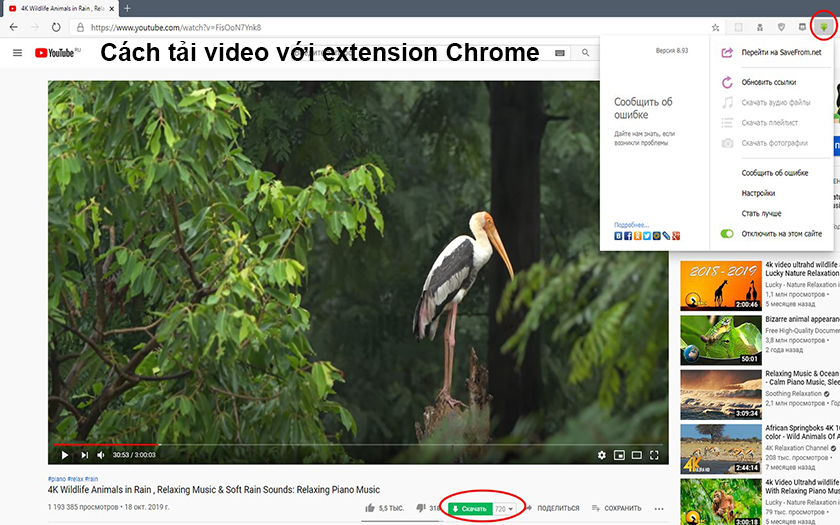 Cách tải video Youtube 4K với extension Chrome