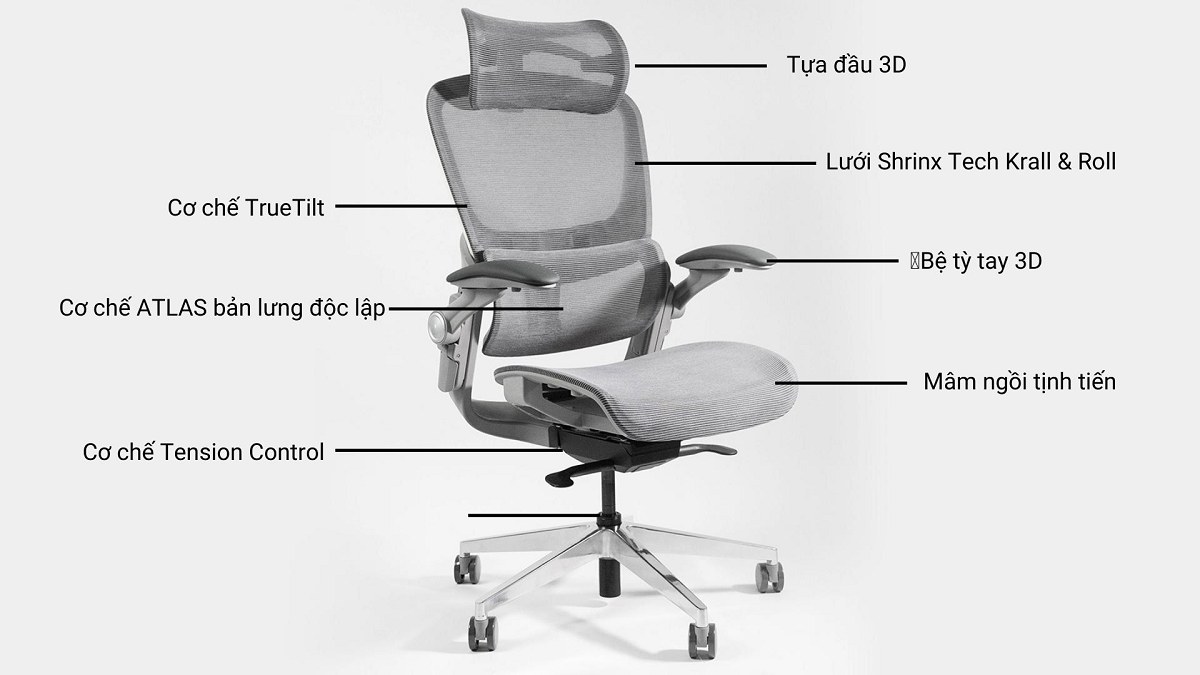 Ghế Epione Easy Chair