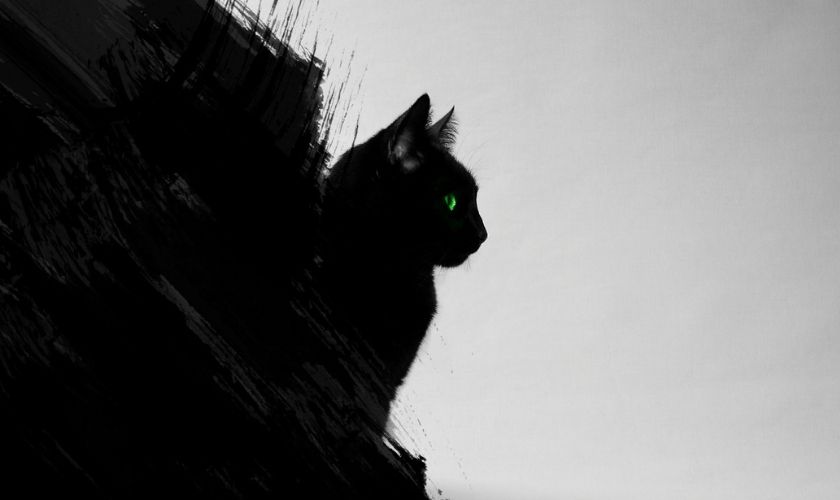 Ảnh nền mèo đen huyền bí cho laptop